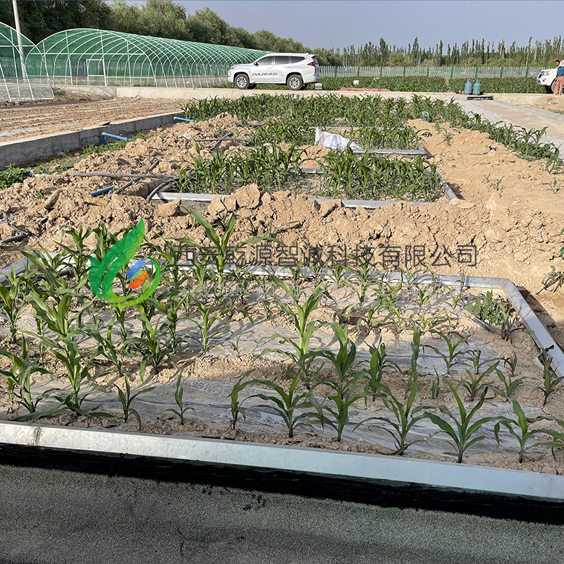 大型蒸渗仪（杠杆式）